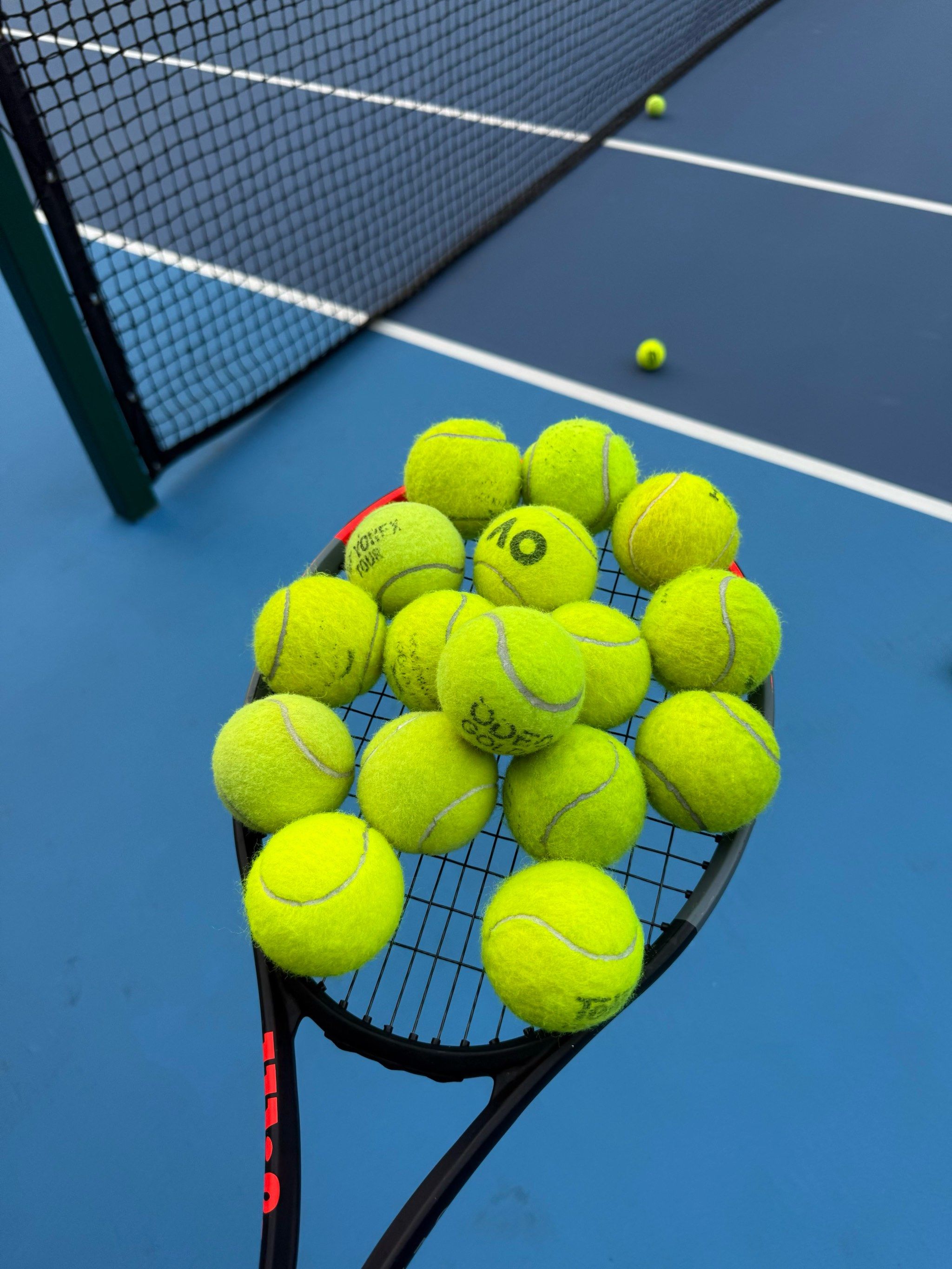 成为尼科职 成为尼科职